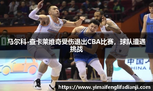 马尔科-查卡莱维奇受伤退出CBA比赛，球队遭遇挑战