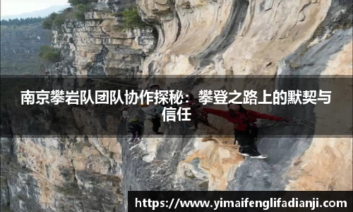 南京攀岩队团队协作探秘：攀登之路上的默契与信任
