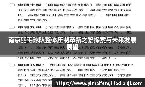 南京羽毛球队整体压制革新之路探索与未来发展展望