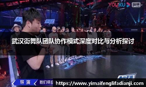 武汉街舞队团队协作模式深度对比与分析探讨