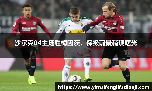 沙尔克04主场胜梅因茨，保级前景稍现曙光