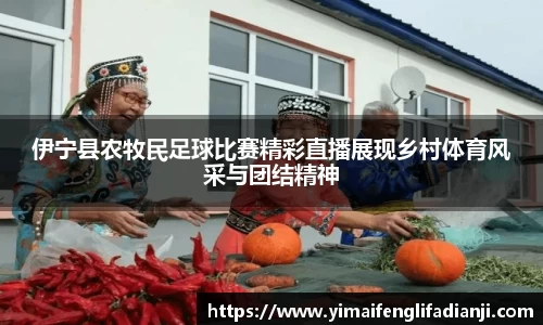 伊宁县农牧民足球比赛精彩直播展现乡村体育风采与团结精神