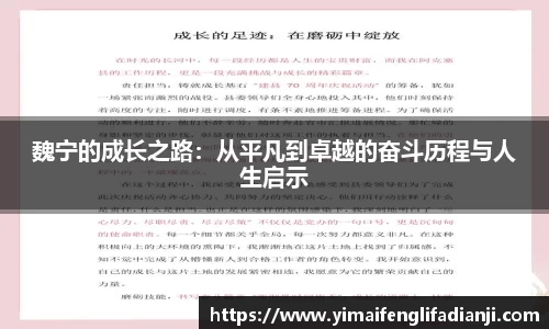 魏宁的成长之路：从平凡到卓越的奋斗历程与人生启示